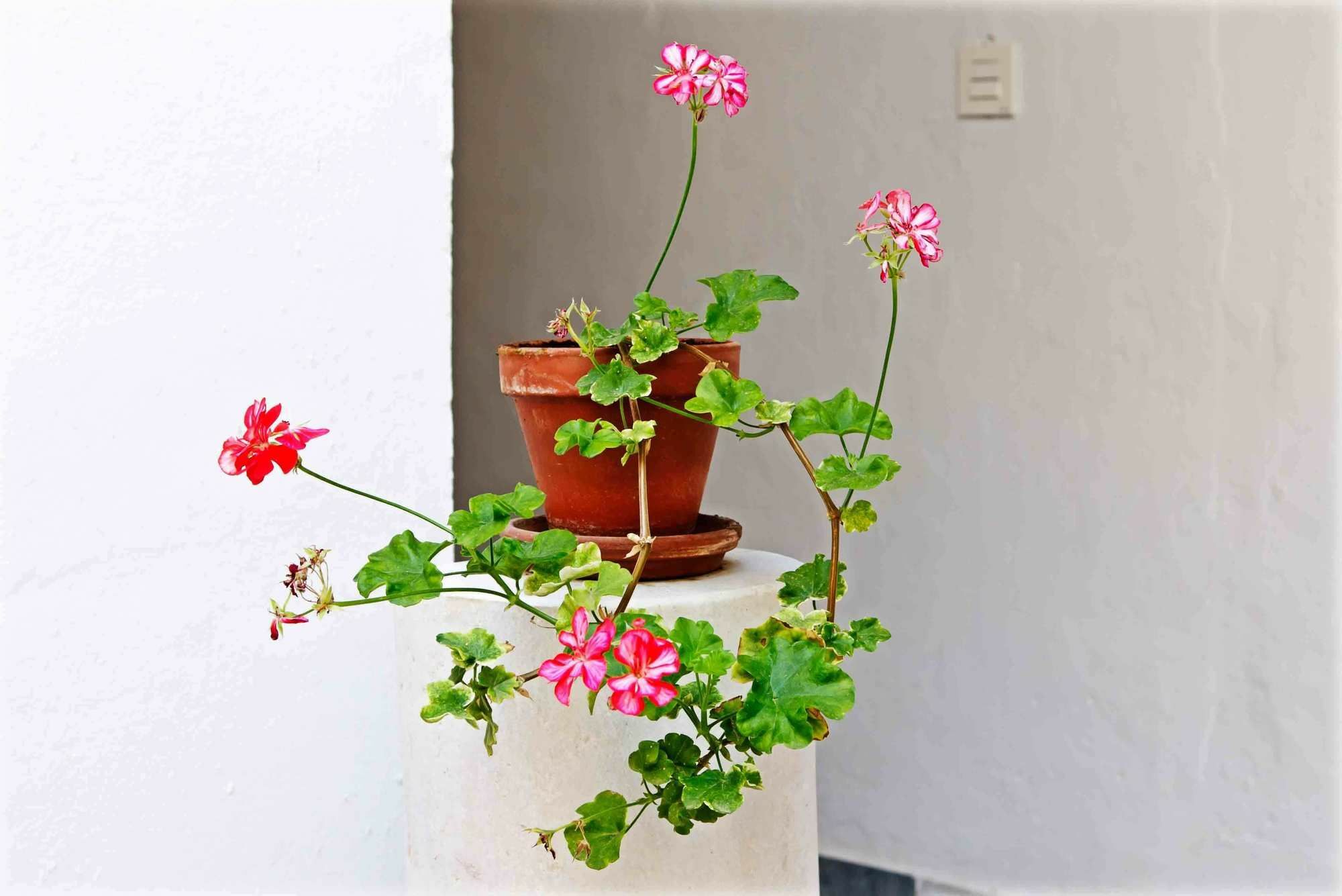 Selecta Apartments Los Venerables Siviglia Esterno foto